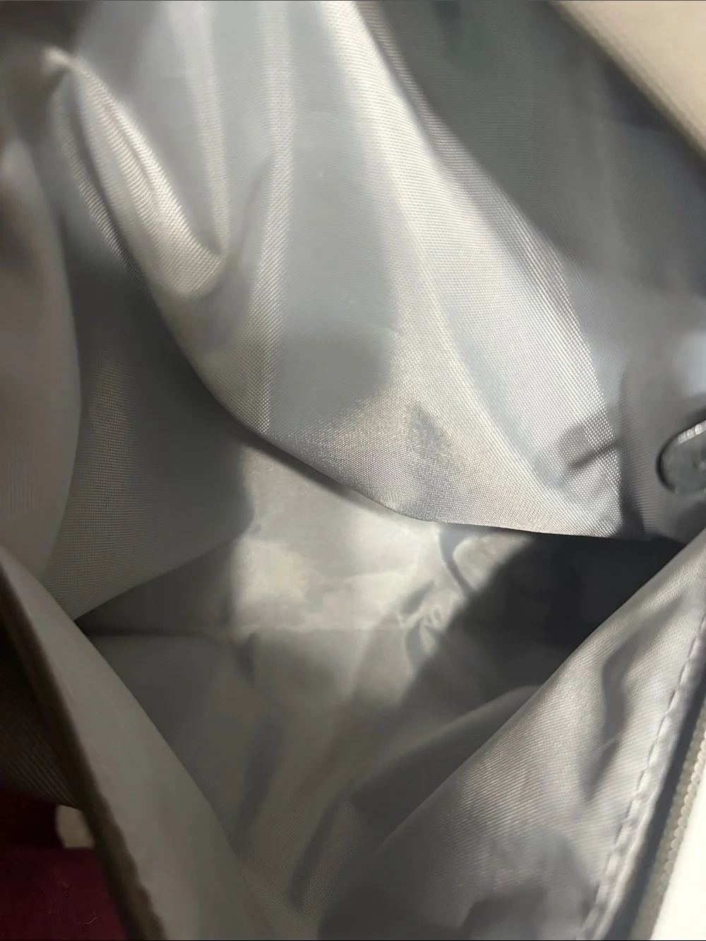 Everlane Renew Transit Backpack